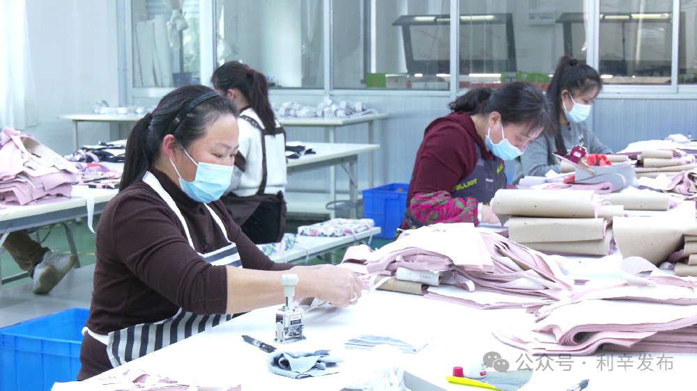 利辛輕紡：突破 “小而散” 藩籬，構(gòu)建百億產(chǎn)業(yè)版圖